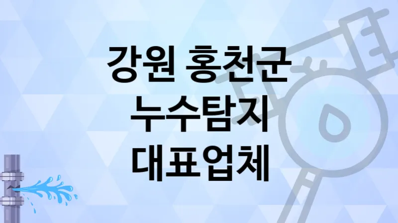 강원 홍천군 누수탐지 경험이 풍부한 업체 TOP 5