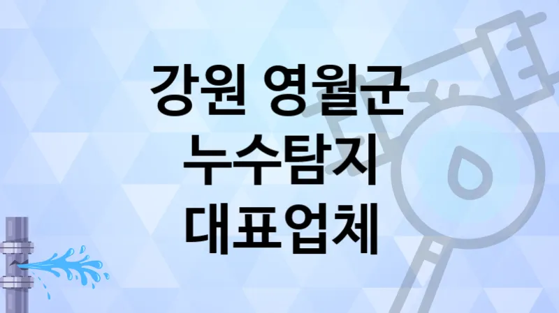 강원 영월군 누수탐지 전문 기술을 보유한 업체 TOP 4