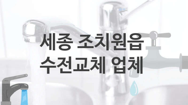 세종 조치원읍 
수전교체 업체