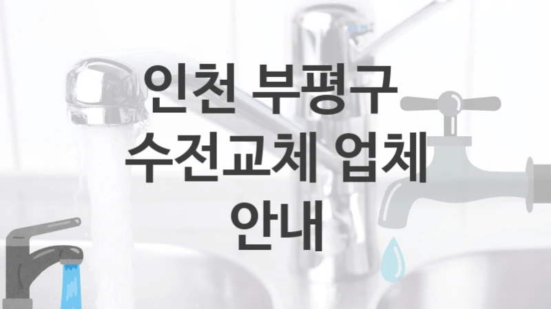 전문가가 추천하는 인천 부평구 추천할 만한 수전 교체 업체와 수리비용