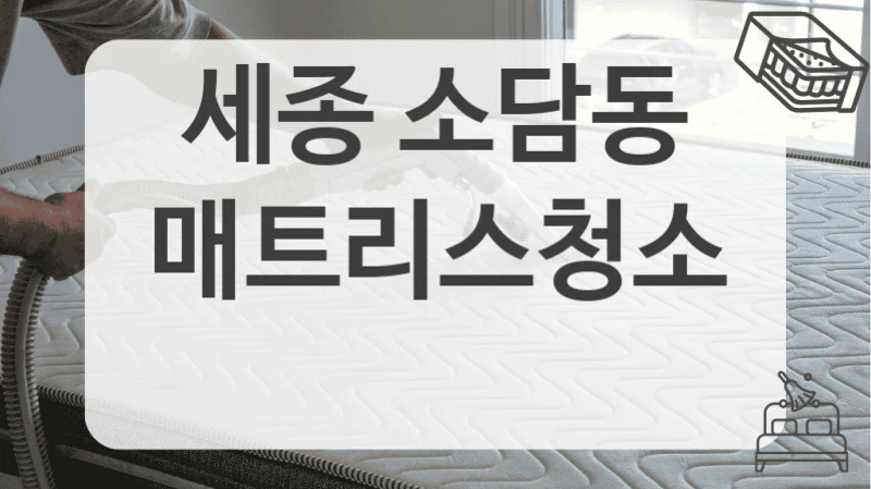 세종 소담동
매트리스청소
