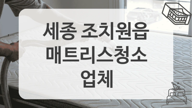 세종 조치원읍
매트리스청소 업체
