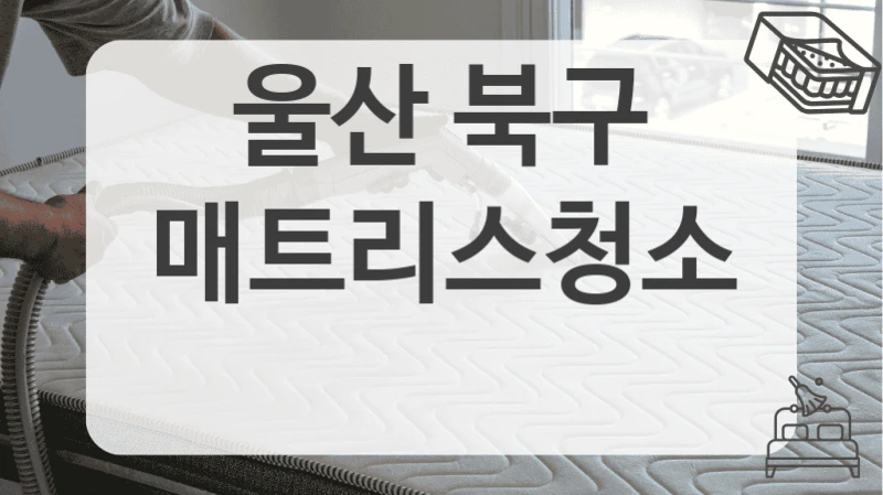 울산 북구
매트리스청소