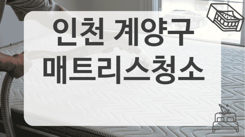 인천 계양구
매트리스청소