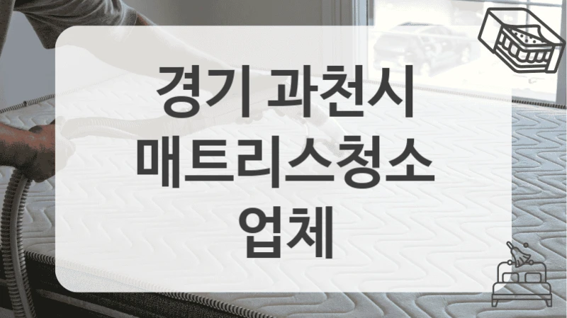 경기 과천시
매트리스청소 업체