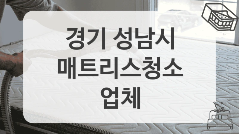 경기 성남시
매트리스청소 업체