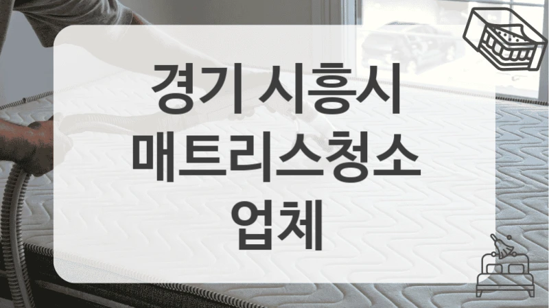 경기 시흥시
매트리스청소 업체