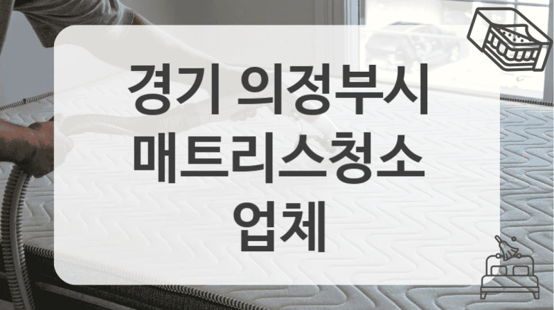 경기 의정부시
매트리스청소 업체