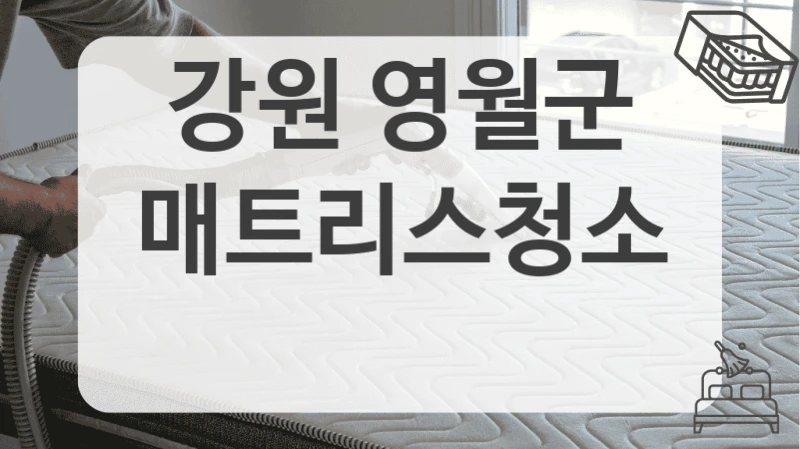 강원 영월군
매트리스청소