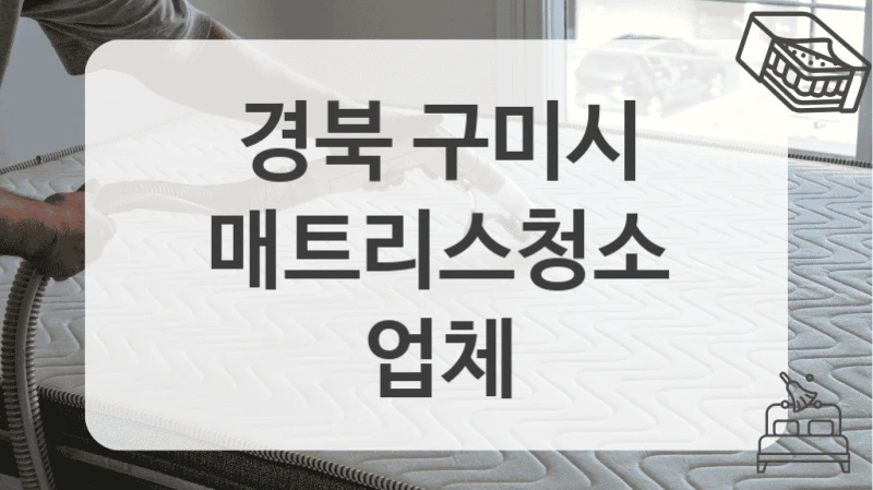 경북 구미시
매트리스청소 업체