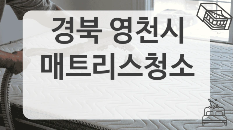 경북 영천시
매트리스청소
