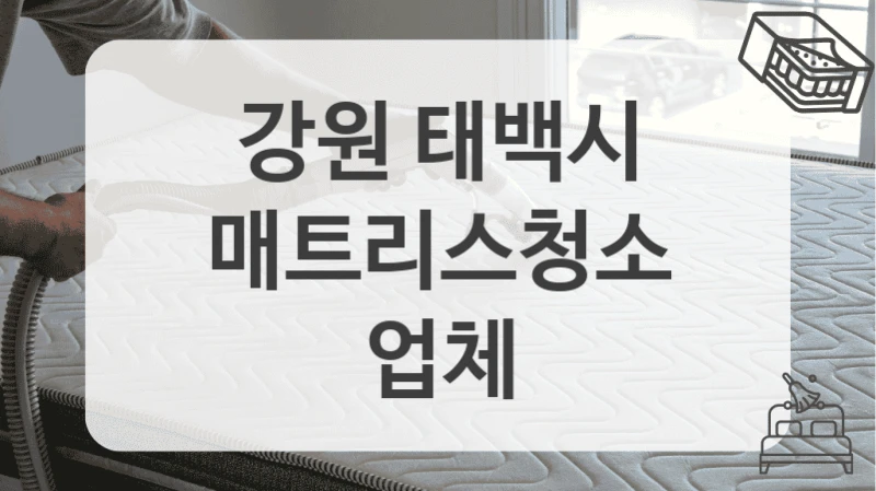 강원 태백시
매트리스청소 업체