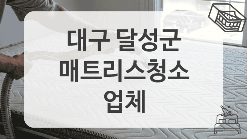 대구 달성군
매트리스청소 업체