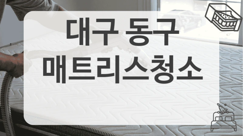 대구 동구
매트리스청소