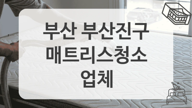 부산 부산진구
매트리스청소 업체