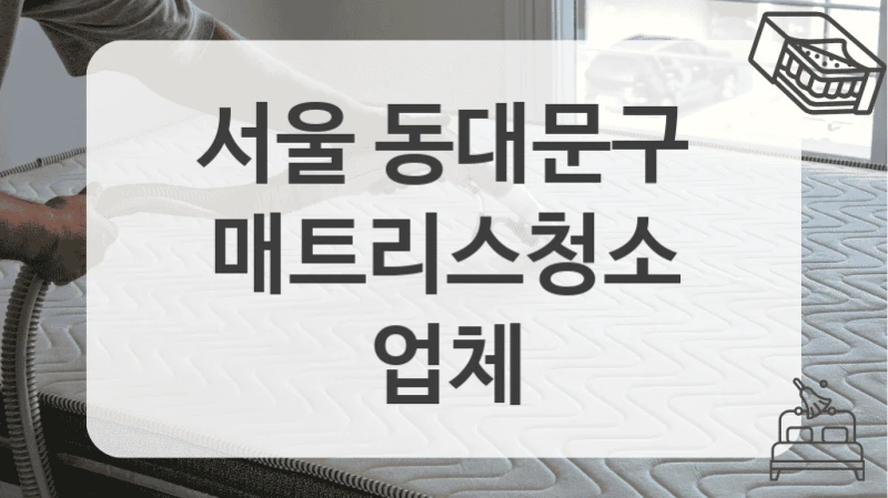 서울 동대문구
매트리스청소 업체