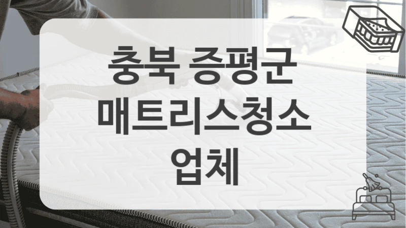 충북 증평군
매트리스청소 업체