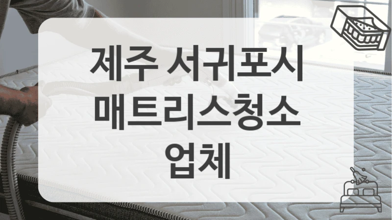 제주 서귀포시
매트리스청소 업체