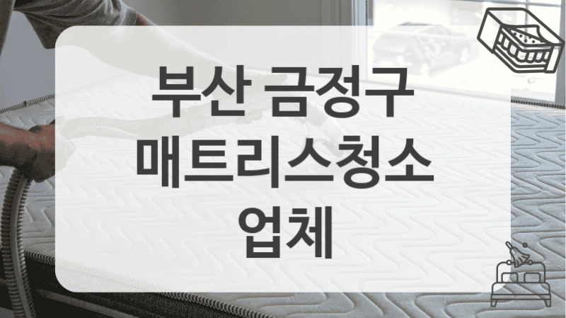 부산 금정구
매트리스청소 업체