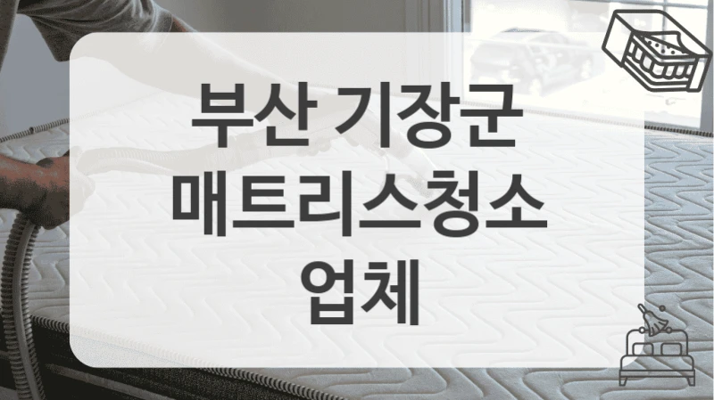 부산 기장군
매트리스청소 업체