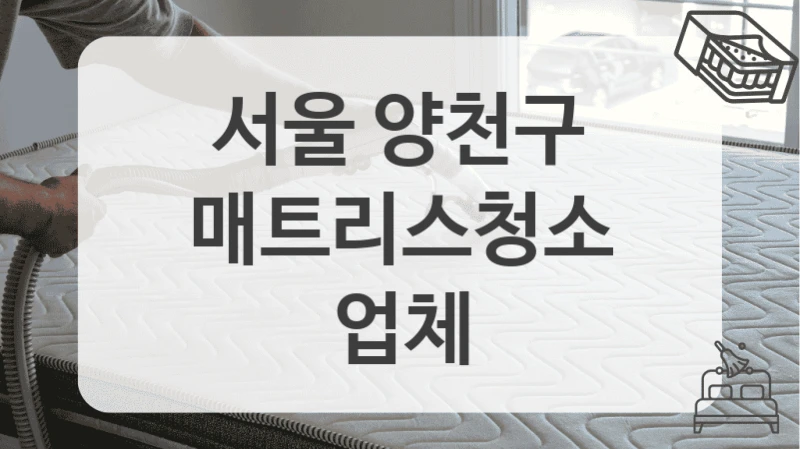 후기 좋은 서울 양천구 전문 매트리스 클리닝 서비스 가격 비교해봤어요