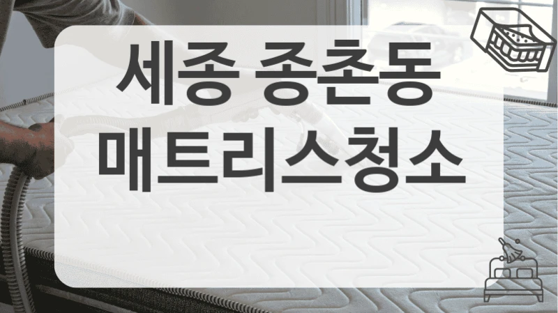 세종 종촌동 매트리스 청소 비용 한눈에 비교해봐요