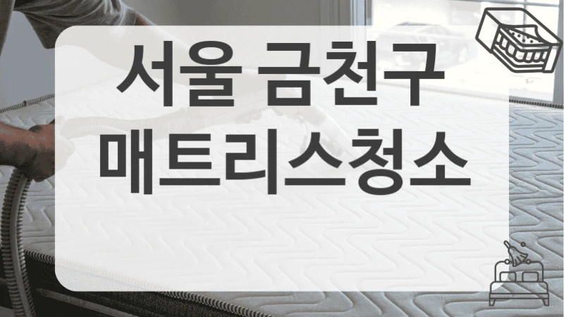 청소 비용 걱정 없이 서울 금천구 매트리스 청소하는 법