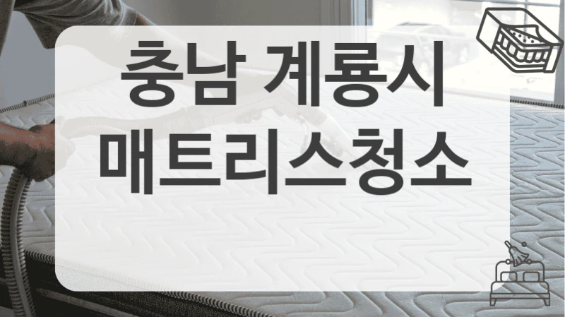 충남 계룡시
매트리스청소