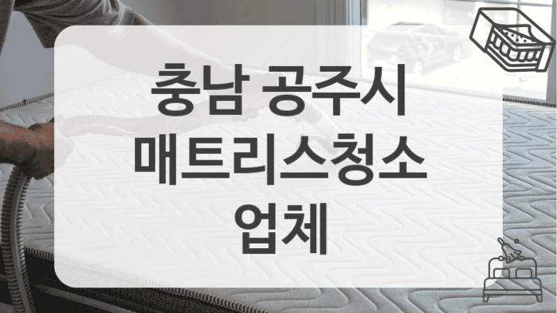 충남 공주시
매트리스청소 업체