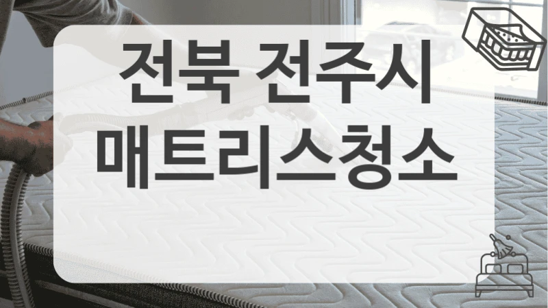 전북 전주시
매트리스청소