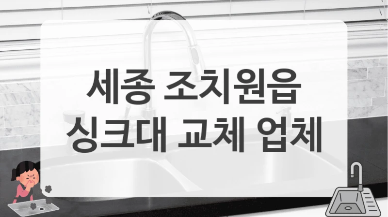 세종 조치원읍
싱크대 교체 업체