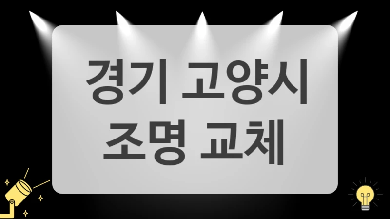 경기 고양시
 조명 교체