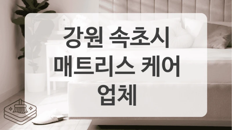 강원 속초시
매트리스 케어 업체