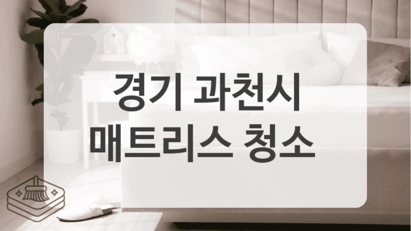 경기 과천시
매트리스 청소