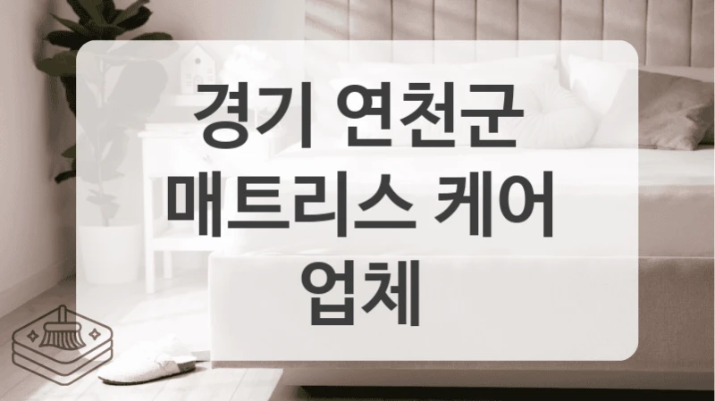 경기 연천군
매트리스 케어 업체