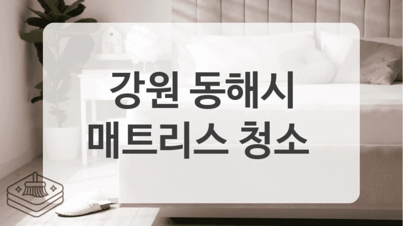 강원 동해시
매트리스 청소