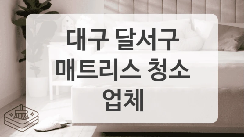 대구 달서구
매트리스 청소 업체