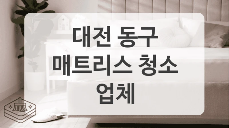대전 동구
매트리스 청소 업체