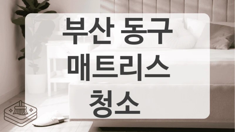 첫 침대 청소라면 부산 동구 침대 매트리스청소 업체 견적부터 확인하세요