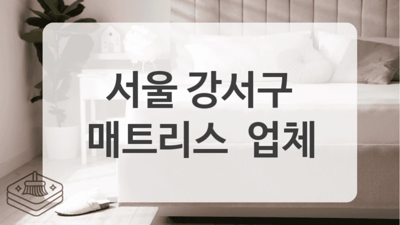 서울 강서구
매트리스  업체