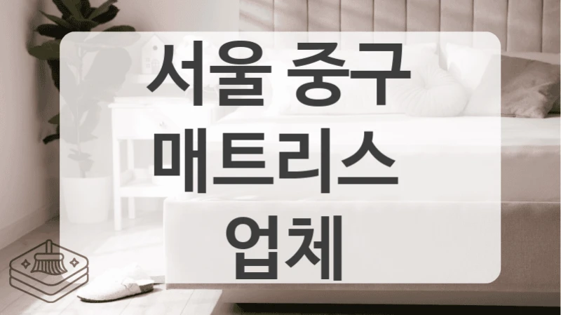 서울 중구
매트리스  업체