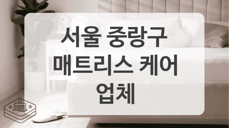 후기 좋은 서울 중랑구 매트리스 케어 업체 견적 모음