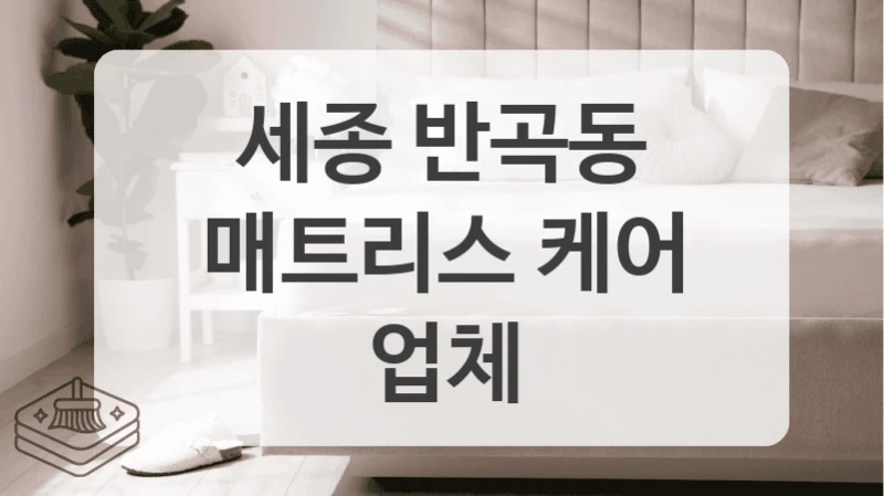 세종 반곡동
매트리스 케어 업체