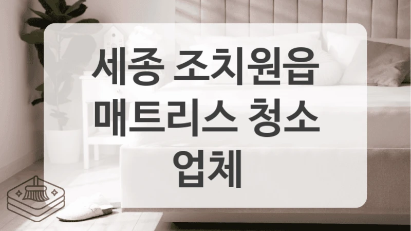 세종 조치원읍
매트리스 청소 업체