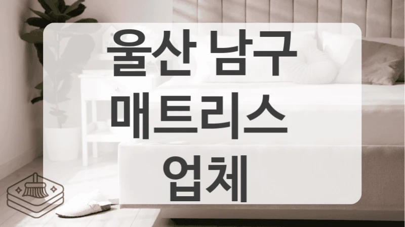 울산 남구
매트리스  업체