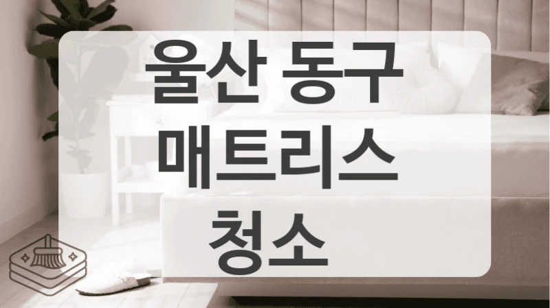 울산 동구 침대매트리스 세척 시공 전문 시공업체 리스트업