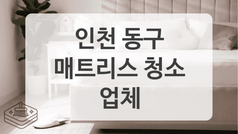 집먼지 진드기 침대 매트리스 청소, 인천 동구 전문업체 선택하세요