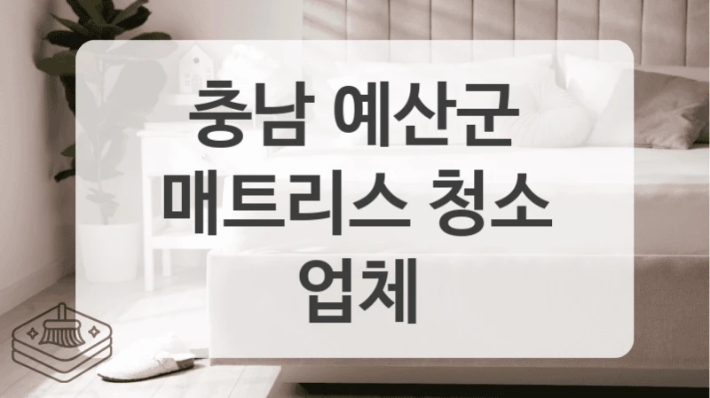 각질 쌓이는 옛날 매트리스 이젠 안녕! 충남 예산군 깔끔한 침대매트리스 세척 전문