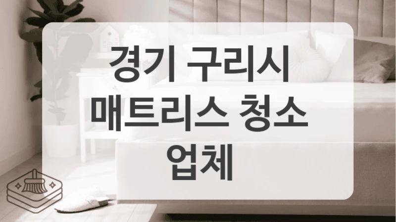 미세먼지 제거 침대 매트리스 청소, 경기 구리시 전문업체 선택하세요