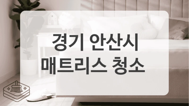 경기 안산시 침대매트리스 세척 시공 전문 시공업체 리스트업